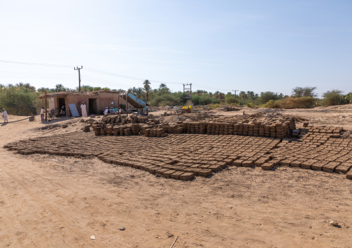 Craft manufacturing of mud bricks, Northern State, El-Kurru, Sudan