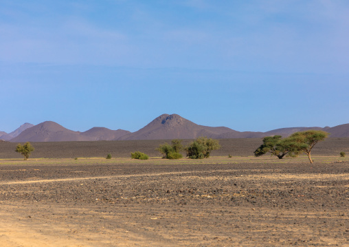 Arid landscape, Northern State, Bayuda desert, Sudan