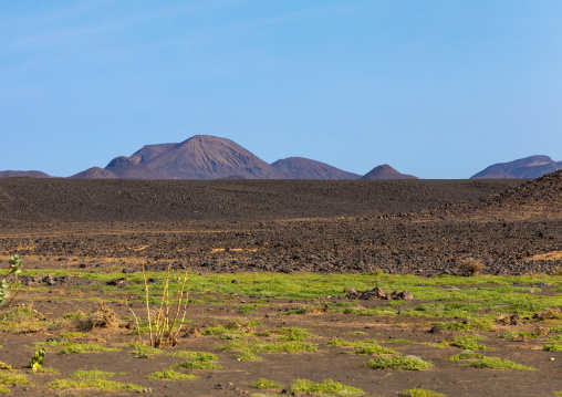Rocky landscape, Northern State, Bayuda desert, Sudan
