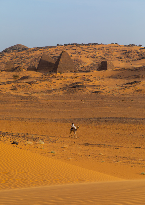 Sudanese man and his camel in front of the pyramids of the kushite rulers at Meroe, Northern State, Meroe, Sudan