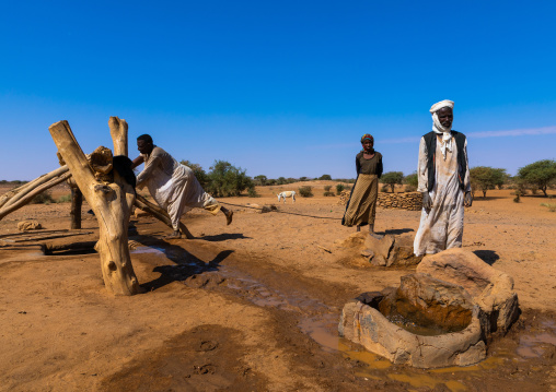 People taking water from a well, Nubia, Naqa, Sudan