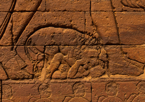 Lion relief on a wall of the temple of Apedemak, Nubia, Naqa, Sudan
