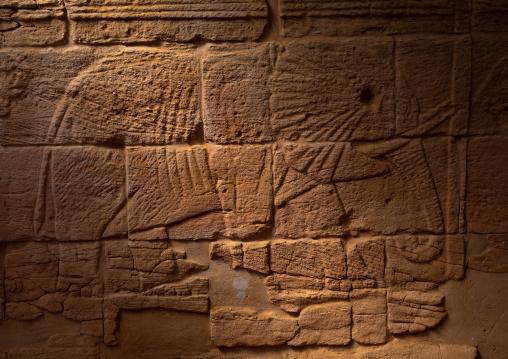 Relief depicting an elephant in Musawwarat es-sufra meroitic lion temple, Nubia, Musawwarat es-Sufra, Sudan