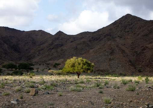 Mountainous landscape, Red Sea State, Suakin, Sudan
