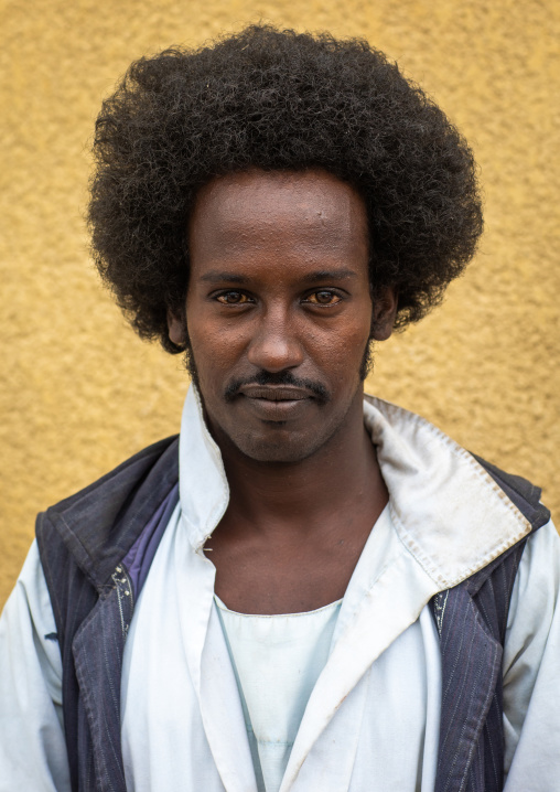 Portrait of a Beja tribe man with afro haircut, Red Sea State, Port Sudan, Sudan