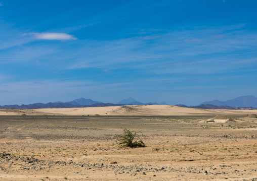 Arid landscape, Red Sea State, Port Sudan, Sudan