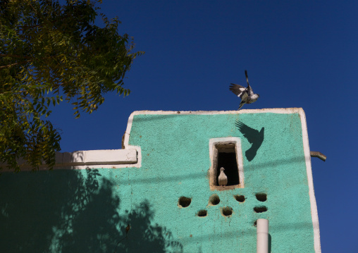 Sudan, Northern Province, Dongola, pigeon house