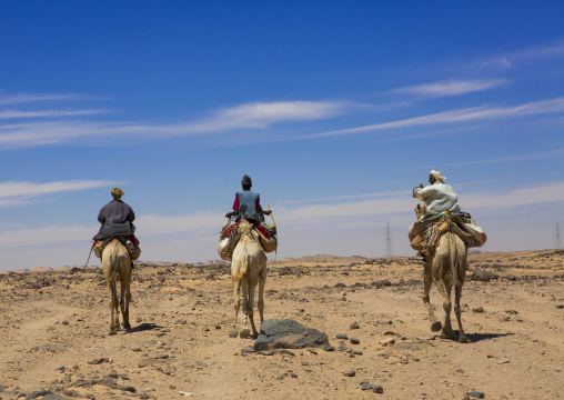 Sudan, Northern Province, Dongola, camel herders going to egypt with a caravan