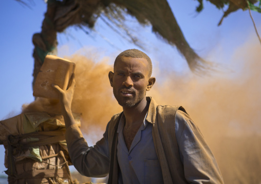 Sudan, Khartoum State, Alkhanag, man searching for gold