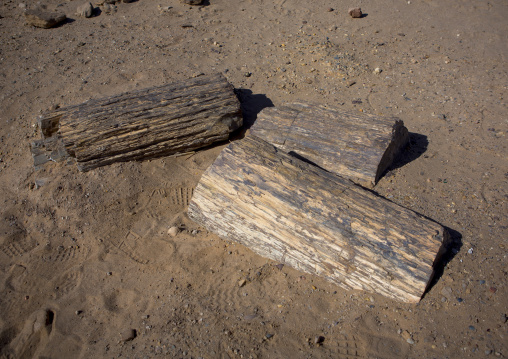 Sudan, Fourth Cataract, El Kurru, petrified wood