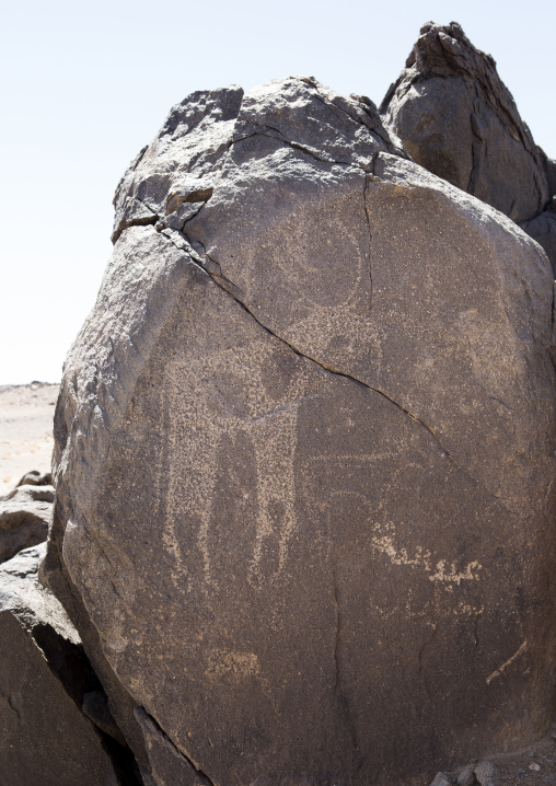Sudan, Nubia, Nuri, rock art in the desert
