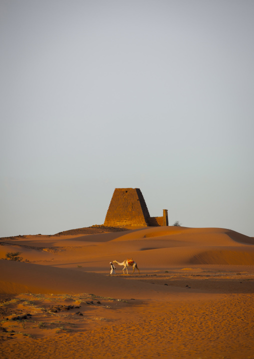 Sudan, Kush, Meroe, man and his camel in front of the pyramids and tombs in royal cemetery