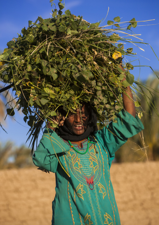 Sudan, Nubia, Soleb, woman carrying grass on her head