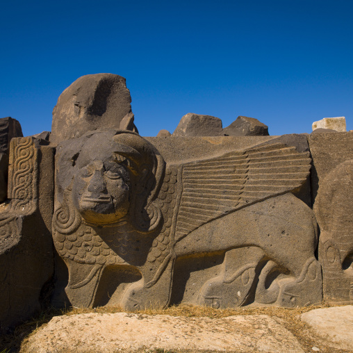 Massive Basalt Hittite Lion Carving, Hama, Hama Governorate, Syria
