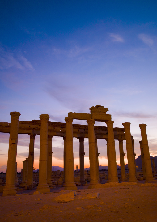 The Ancient Roman City, Palmyra, Syrian Desert, Syria