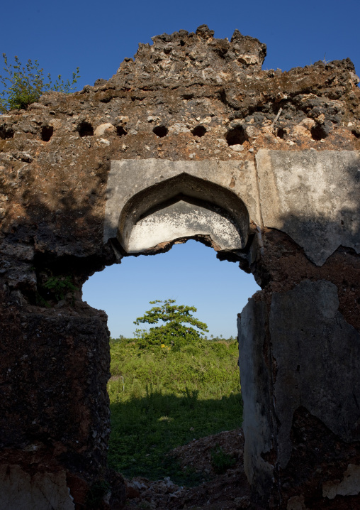 Lady khole ruins, Zanzibar, Tanzania