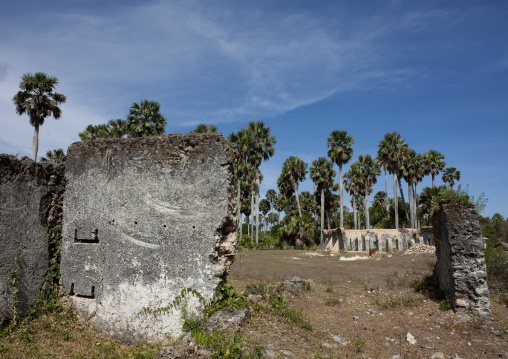 Tomb in the mkumbuu ancient town, Pemba, Tanzania