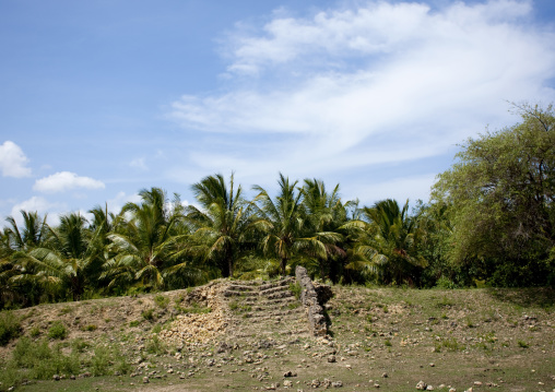 Pujini ruins, Pemba, Tanzania