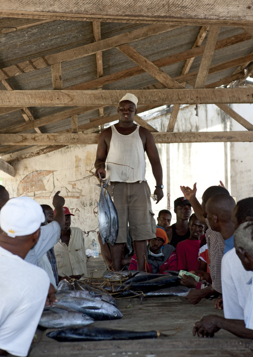 Fish auction in bagamoyo, Tanzania