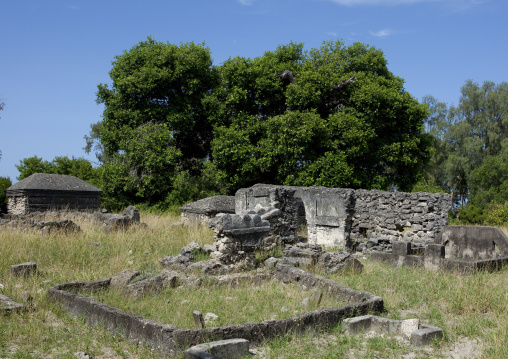 Kunduchi ruins, Tanzania