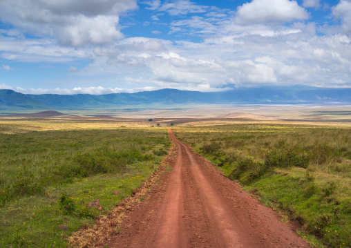 Tanzania, Arusha Region, Ngorongoro Conservation Area, a dirt track dissecting a vast short grass savannah plain surrounded by a volcano caldera wall