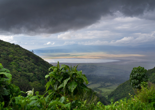 Tanzania, Arusha Region, Ngorongoro Conservation Area, view of the crater