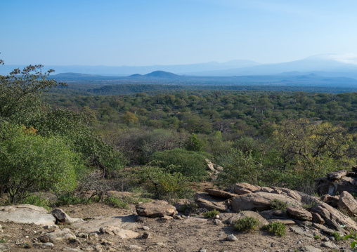Tanzania, Serengeti Plateau, Lake Eyasi, hadzabe tribe forest