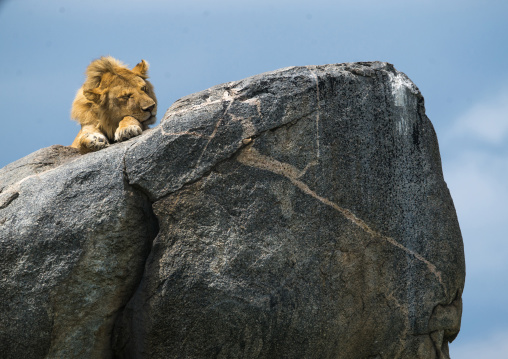 Tanzania, Mara, Serengeti National Park, african lion (panthera leo) sleeping on a kopje