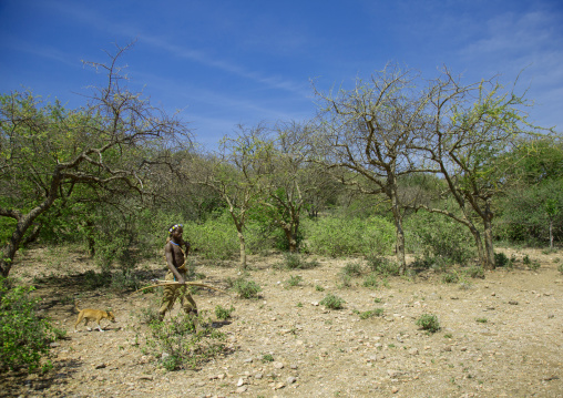 Tanzania, Serengeti Plateau, Lake Eyasi, hadzabe tribe man hunting