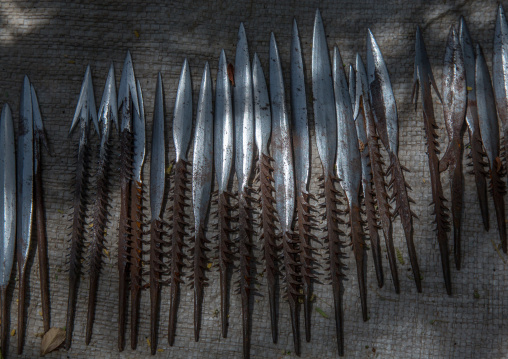 Tanzania, Serengeti Plateau, Lake Eyasi, arrows made by datogas people for hadzabe hunters