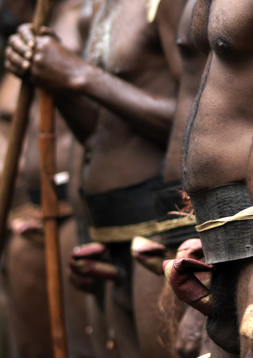 Tribesmen wearing traditional penis sheaths called nambas, Ambrym island, Fanla, Vanuatu