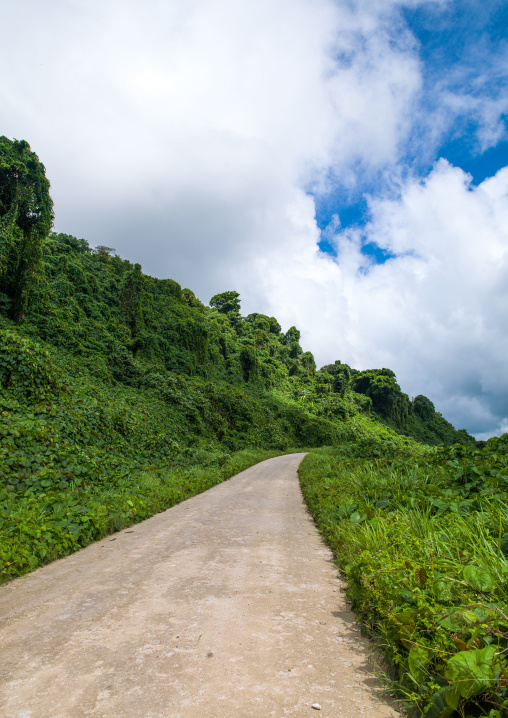 Road along the coast and the jungle, Shefa Province, Efate island, Vanuatu