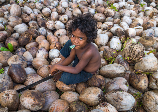 Child boy sitting in the middle of coconuts in a factory, Shefa Province, Efate island, Vanuatu