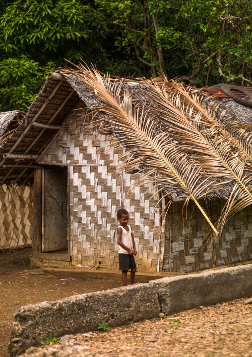 Ni-Vanuatu boy in front of a traditional house made with palm leaves, Shefa Province, Efate island, Vanuatu