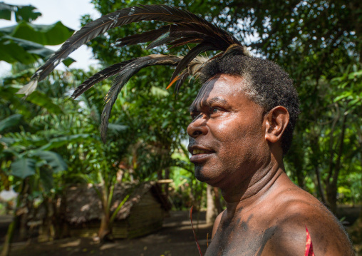 Portrait of a Small Nambas tribesman with feathers in the hair, Malekula island, Gortiengser, Vanuatu