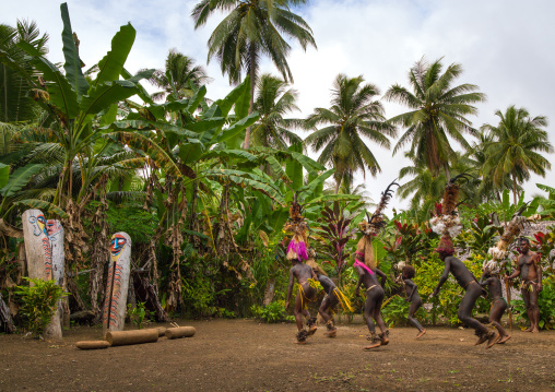 Small Nambas tribesmen covered with palm leaves dancing in front of slit gong drums during the palm tree dance, Malekula island, Gortiengser, Vanuatu
