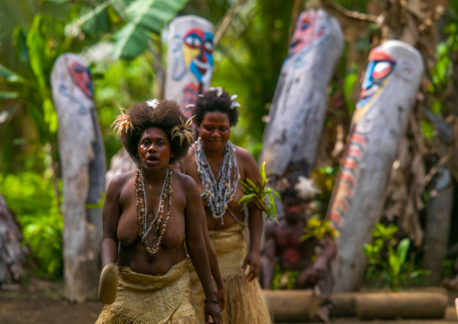 Small Nambas tribeswomen dancing in front of slit gong drums during the palm tree dance, Malekula island, Gortiengser, Vanuatu