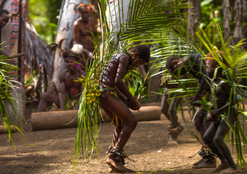 Small Nambas children covered with palm leaves dancing in front of slit gong drums during the palm tree dance, Malekula island, Gortiengser, Vanuatu