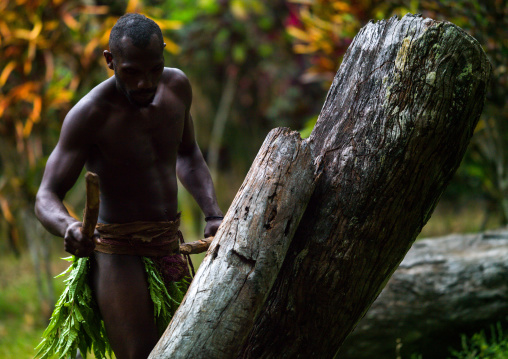 Big Nambas tribesman beating a slit drum during a ceremony, Malampa Province, Malekula Island, Vanuatu