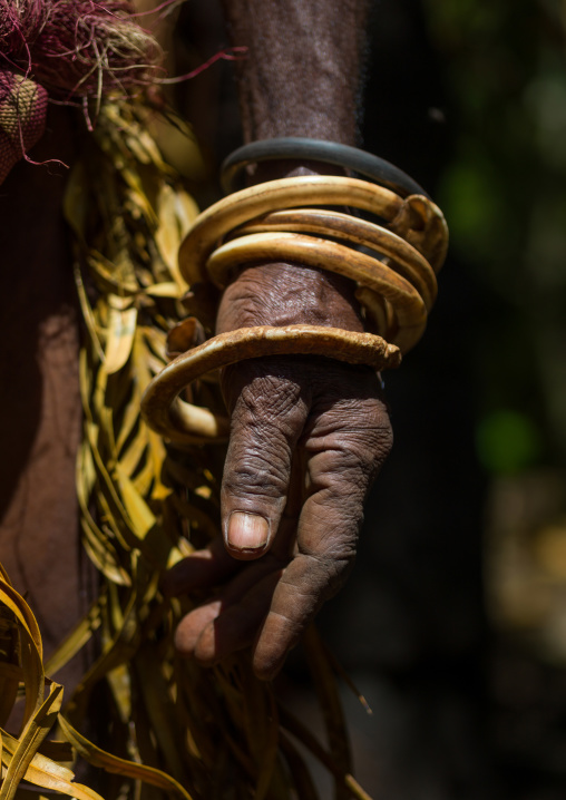 Circular pig tusks used as bracelets by a Ni-Vanuatu man, Ambrym island, Fanla, Vanuatu