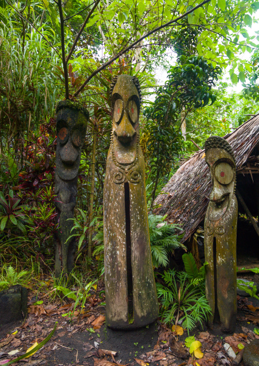Slit gong drums in the jungle, Ambrym island, Olal, Vanuatu