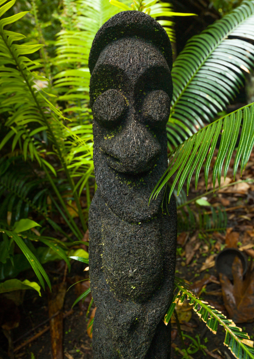 Fern tree grade figure in the jungle, Ambrym island, Olal, Vanuatu
