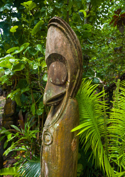Slit gong drum in the jungle, Ambrym island, Olal, Vanuatu