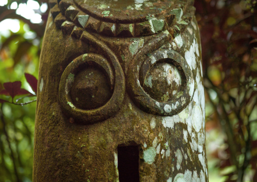 Wild pig tusks carved on a slit gong drum, Ambrym island, Olal, Vanuatu