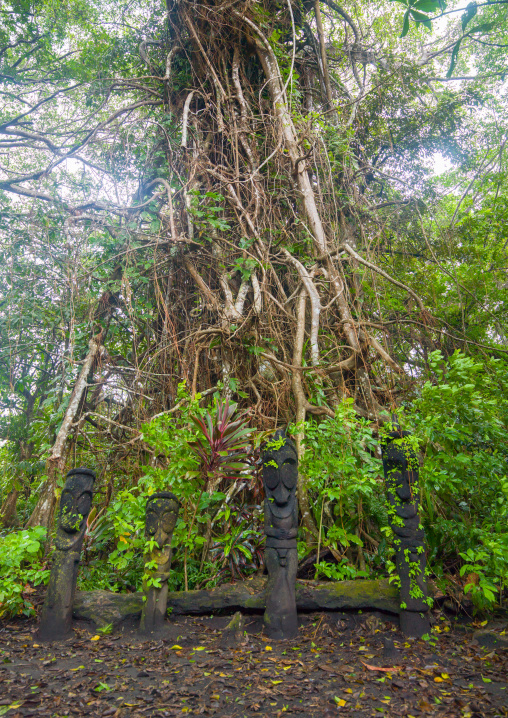 Fern tree grade figures in the jungle, Ambrym island, Olal, Vanuatu