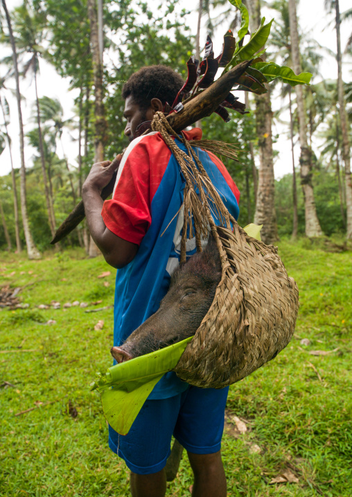 Hunter carrying a wild pig head in a basket, Ambrym island, Olal, Vanuatu
