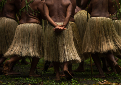Women with grass skirts performing a Rom dance, Ambrym island, Olal, Vanuatu