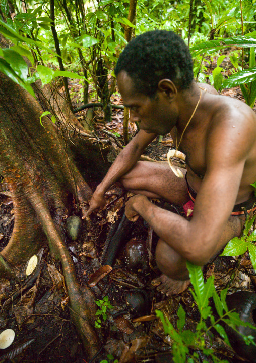chieftain Sekor showing hidden magic stones that can bring rain in the forest, Ambrym island, Olal, Vanuatu