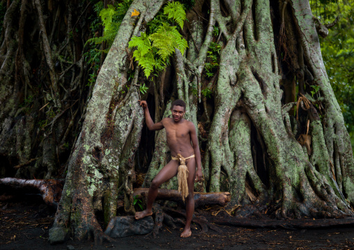 Teenager wearing a penis sheath called a namba standing in front of a giant banyan tree, Tanna island, Yakel, Vanuatu
