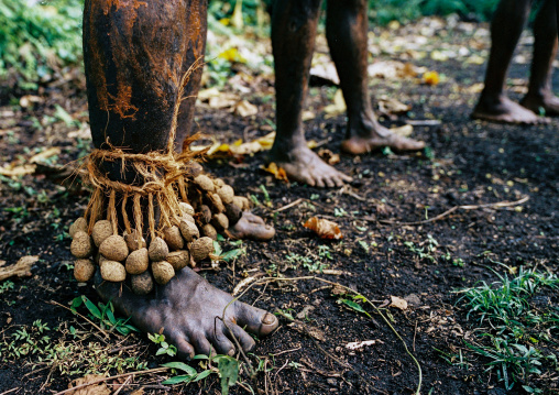 Tribesmen feet with dried seeds to make noise during a ceremony in the jungle, Malampa province, Malekula island, Vanuatu
